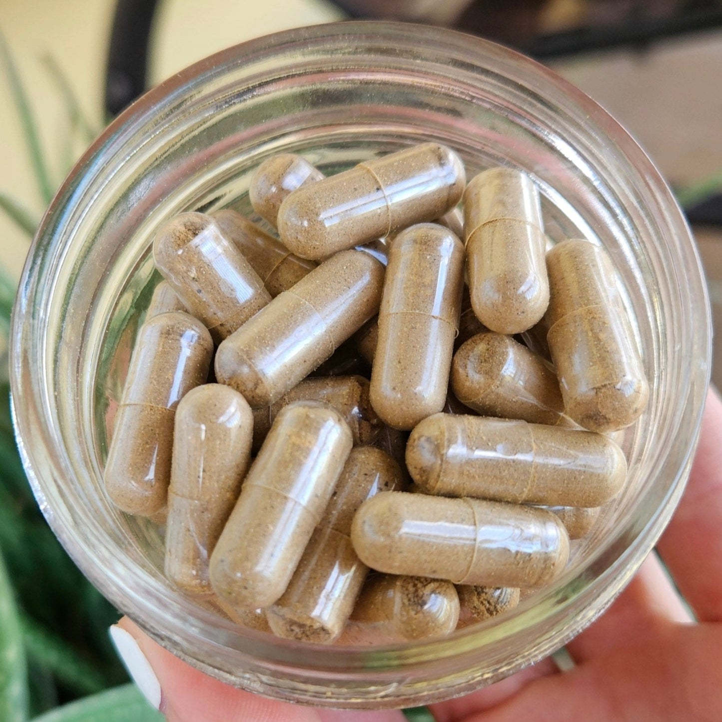 Strength & Stamina Mushroom & Herbal Capsules - For Mental Alertness, Endurance, Energy, and Strength