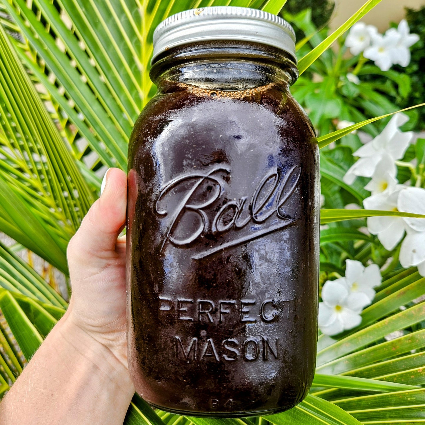Elderberry Syrup with Echinacea & Rosehips