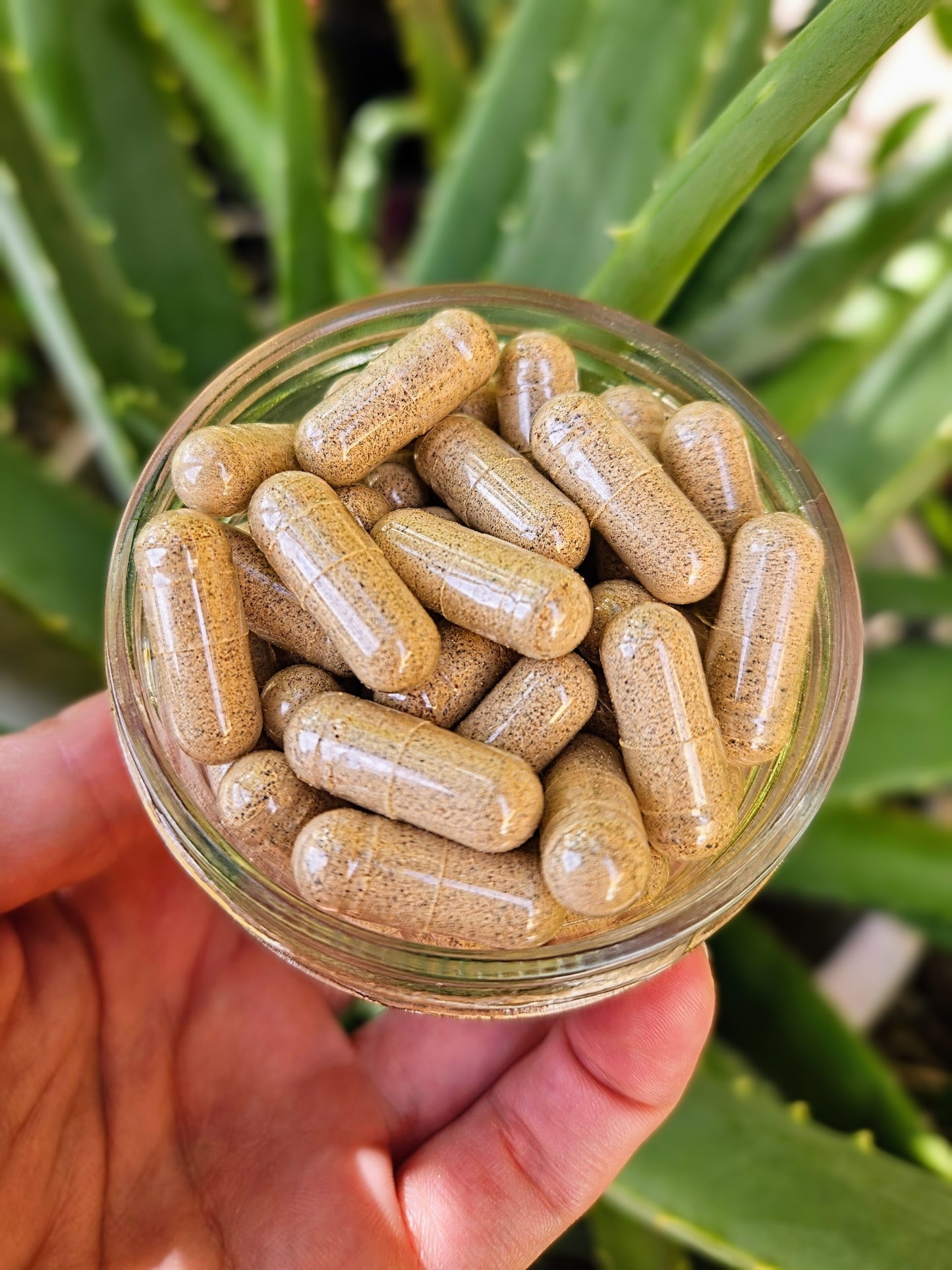 Men's Powerhouse Hormone Optimization Capsules - Increased Testosterone, Energy, and Libido, Muscle Performance & Recovery