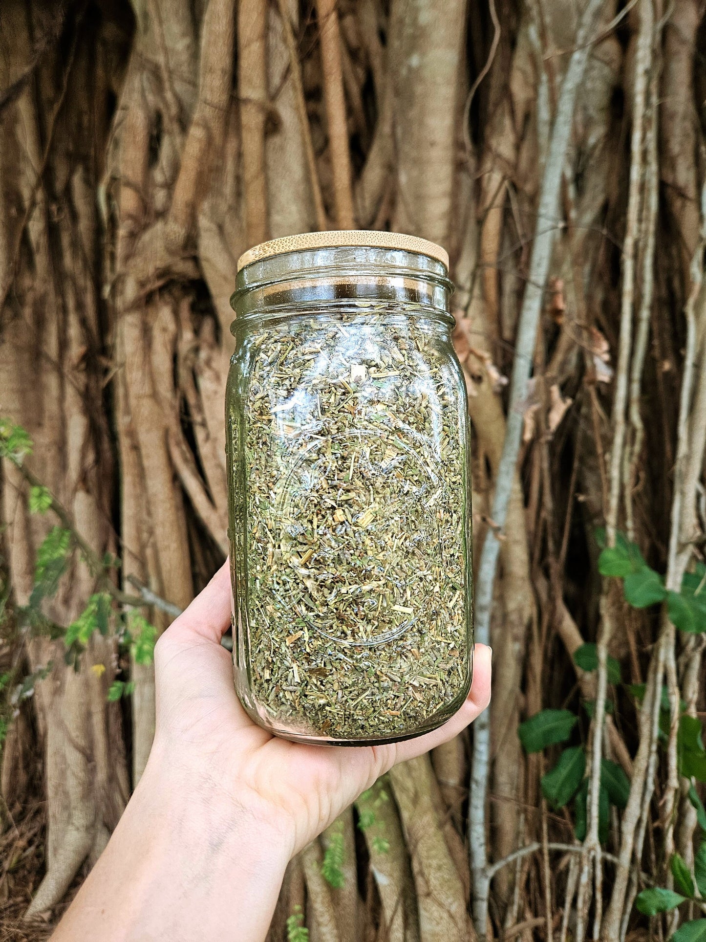 Digestion, Lung, and Vocals Herbal Tea - Pain Relief and Healing - Membrane, Soft Tissue, Gut Health