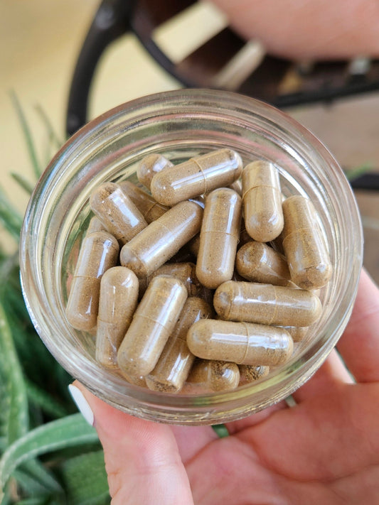 Speed & Stamina Herbal and Mushroom Capsules - Amazing for Mental Alertness, Endurance, Energy, and Strength