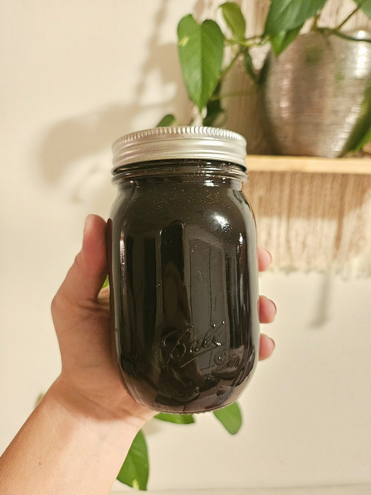 Elderberry Syrup with Echinacea & Rosehips