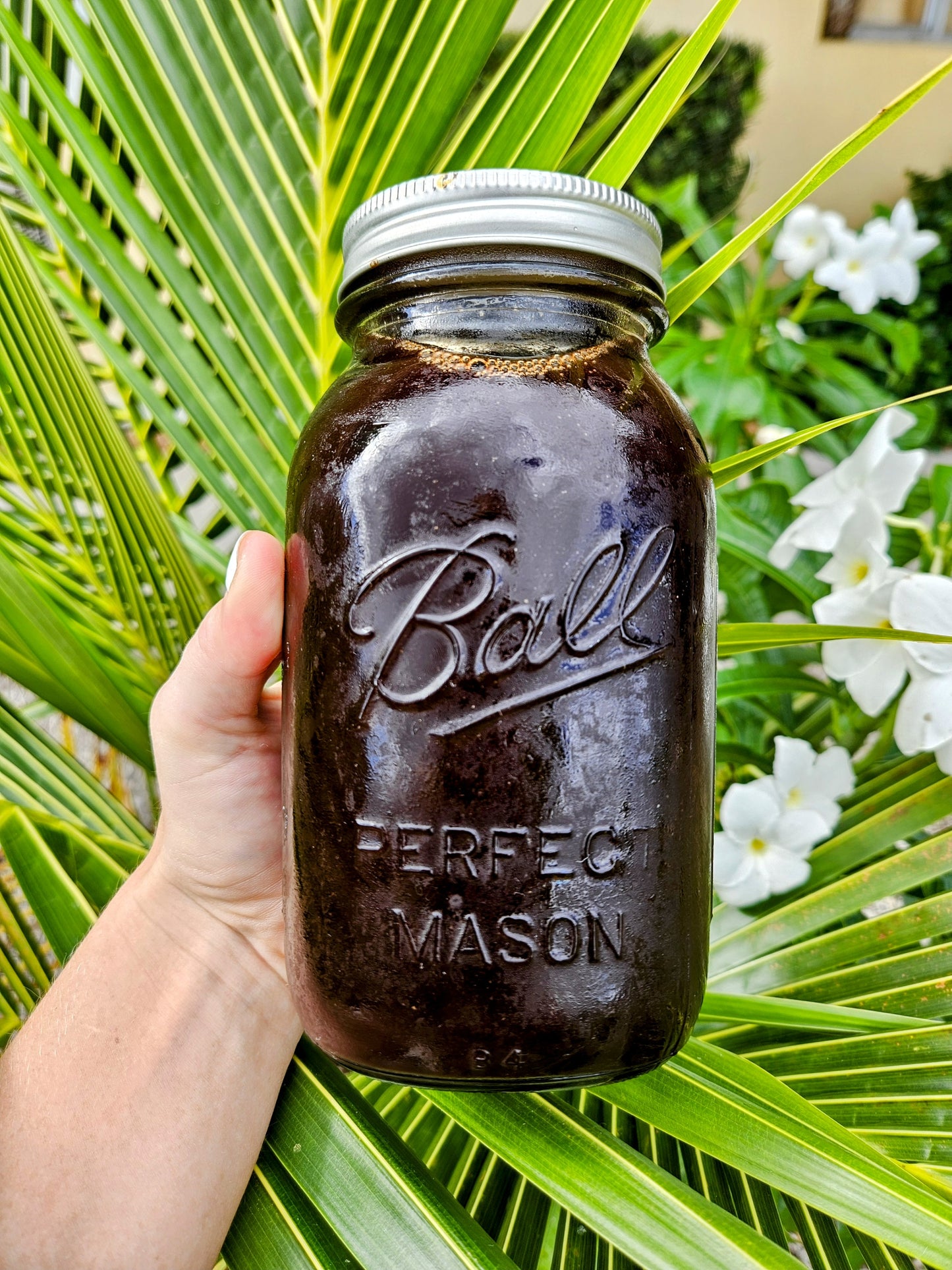 Elderberry Syrup with Echinacea & Rosehips