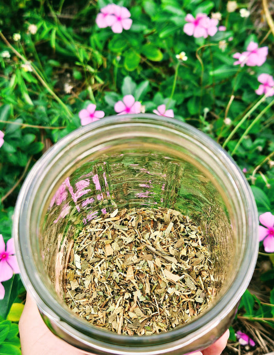 Organic Mental Resilience & Memory Tea